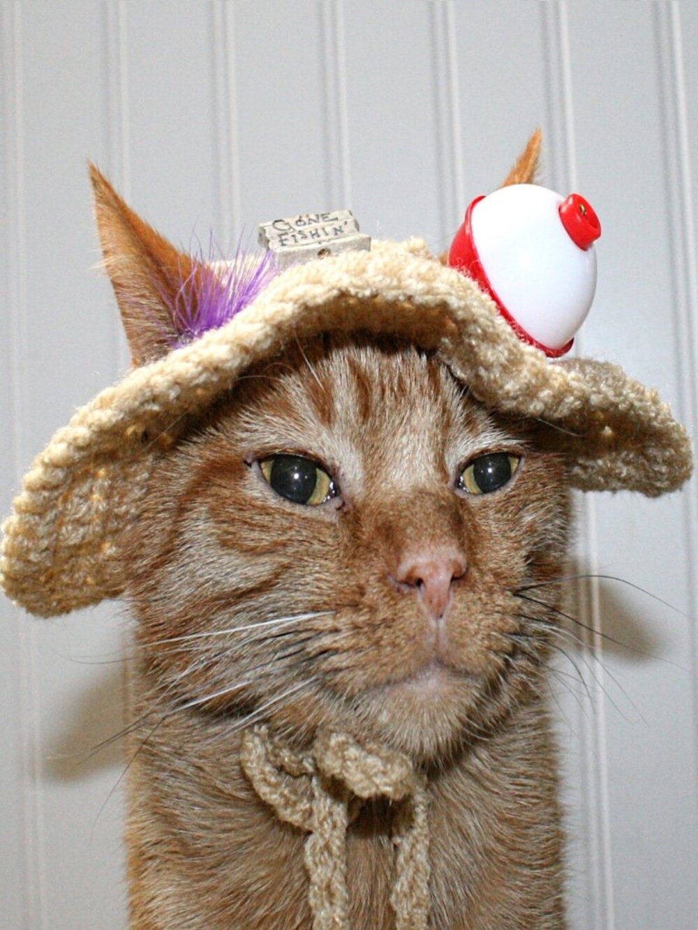 HAND CRAFTED Gone Fishing Cat Hat Crochet Hairy Wig Costume Photo Prop